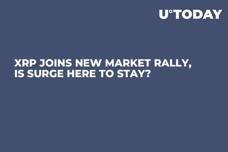 XRP Joins New Market Rally, Is Surge Here to Stay?