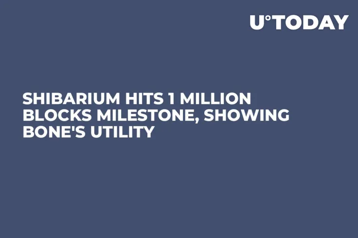 Shibarium Hits 1 Million Blocks Milestone, Showing BONE's Utility