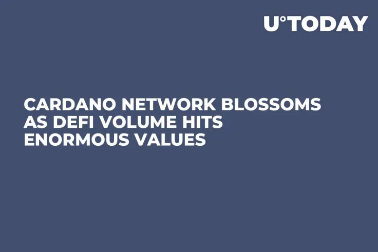 Cardano Network Blossoms as DeFi Volume Hits Enormous Values