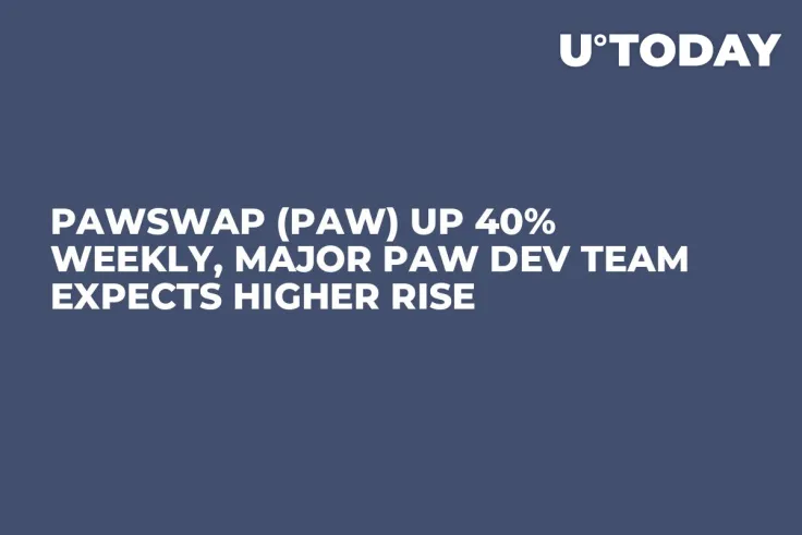 PawSwap (PAW) up 40% Weekly, Major PAW Dev Team Expects Higher Rise