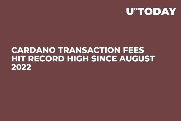 Cardano Transaction Fees Hit Record High Since August 2022