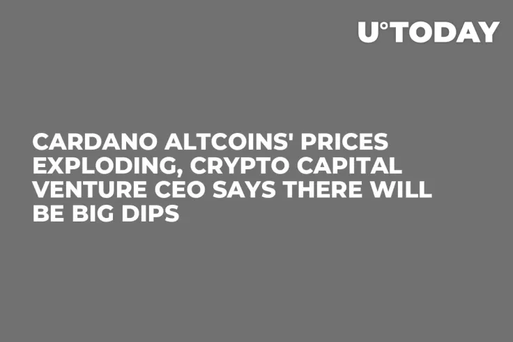 Cardano Altcoins' Prices Exploding, Crypto Capital Venture CEO Says There Will Be Big Dips