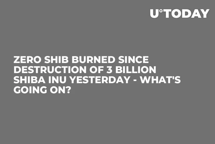 Zero SHIB Burned Since Destruction of 3 Billion Shiba Inu Yesterday - What's Going On?