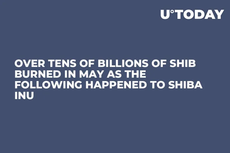 Over Tens of Billions of SHIB Burned in May as the Following Happened to Shiba Inu