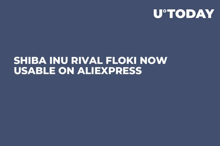 Shiba Inu Rival FLOKI Now Usable on AliExpress