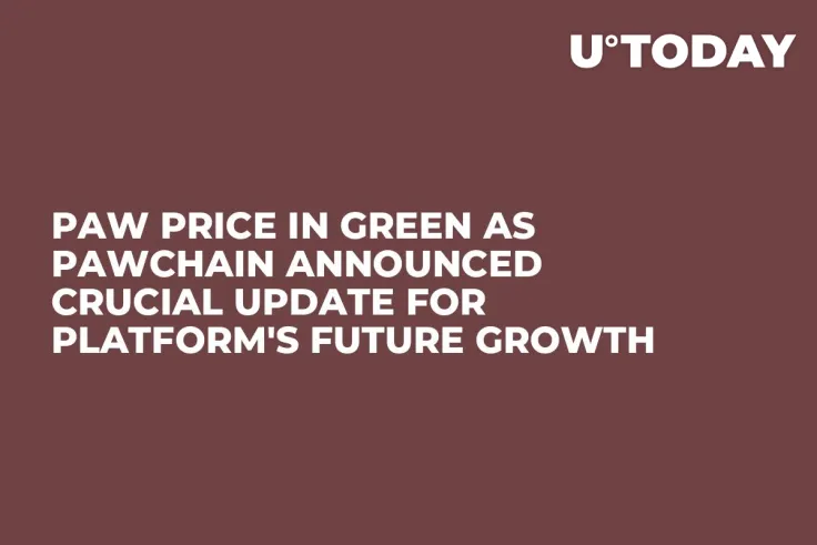 PAW Price in Green as PawChain Announced Crucial Update for Platform's Future Growth