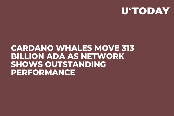 Cardano Whales Move 313 Billion ADA as Network Shows Outstanding Performance