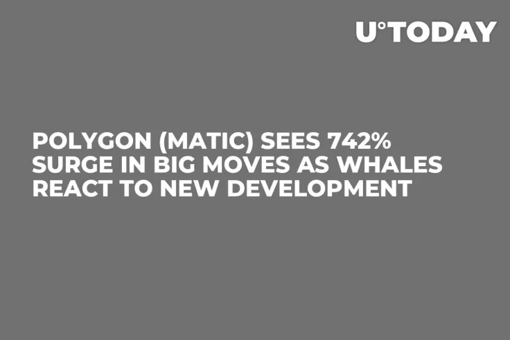 Polygon (MATIC) Sees 742% Surge in Big Moves as Whales React to New Development
