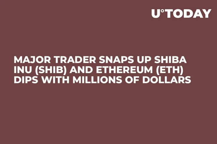 Major Trader Snaps up Shiba Inu (SHIB) and Ethereum (ETH) Dips With Millions of Dollars