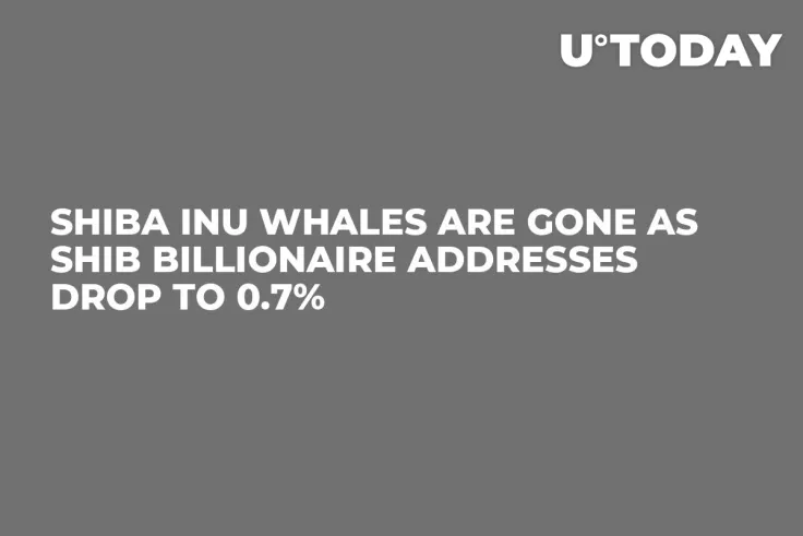 Shiba Inu Whales Are Gone as SHIB BIllionaire Addresses Drop to 0.7%