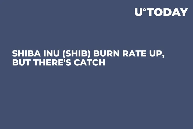 Shiba Inu (SHIB) Burn Rate Up, But There's Catch