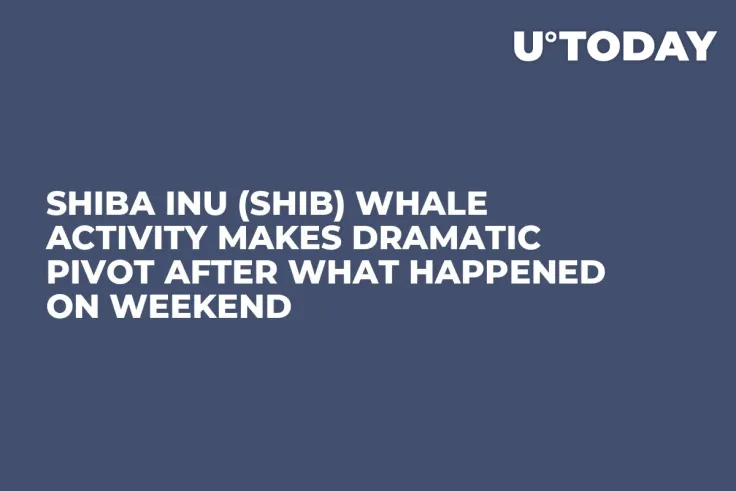 Shiba Inu (SHIB) Whale Activity Makes Dramatic Pivot After What Happened on Weekend