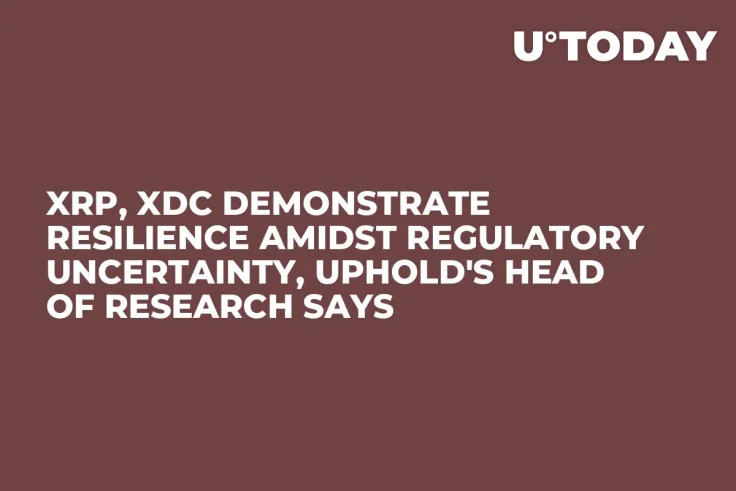 XRP, XDC Demonstrate Resilience Amidst Regulatory Uncertainty, Uphold's Head of Research Says