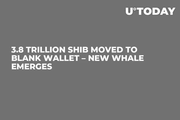 3.8 Trillion SHIB Moved to Blank Wallet – New Whale Emerges