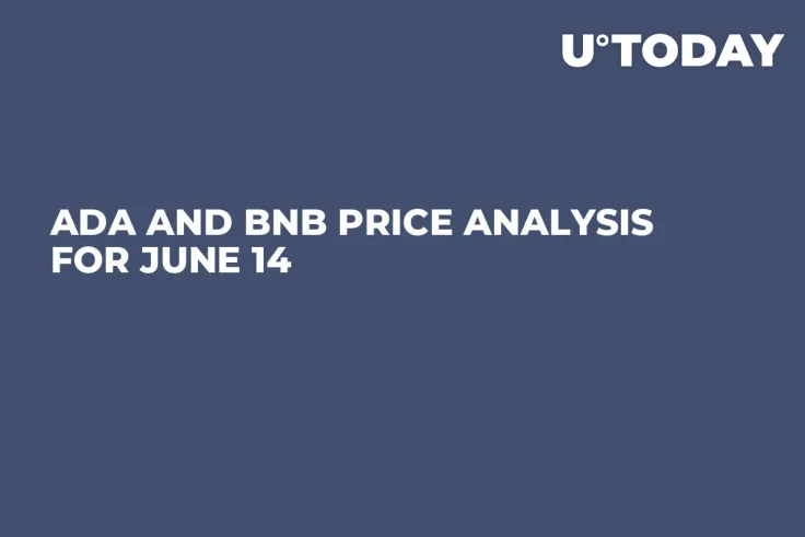 ADA and BNB Price Analysis for June 14
