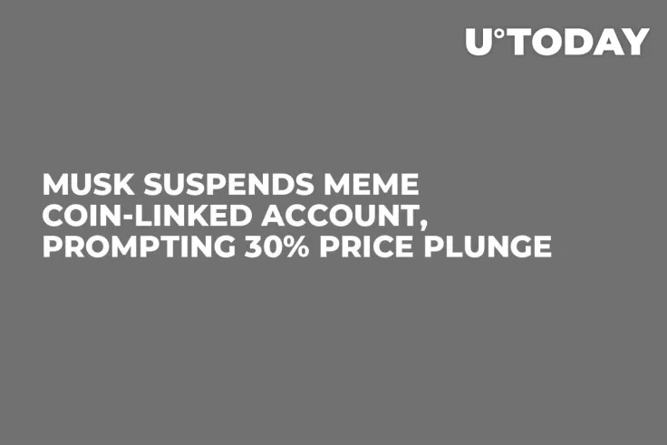 Musk Suspends Meme Coin-Linked Account, Prompting 30% Price Plunge