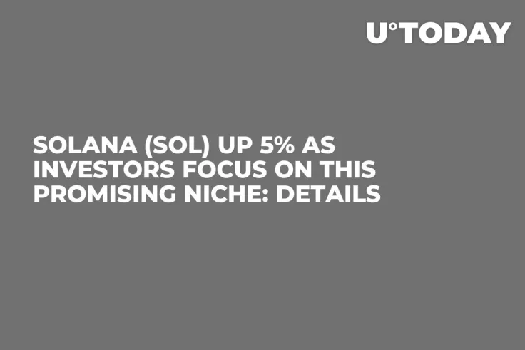Solana (SOL) up 5% as Investors Focus on This Promising Niche: Details