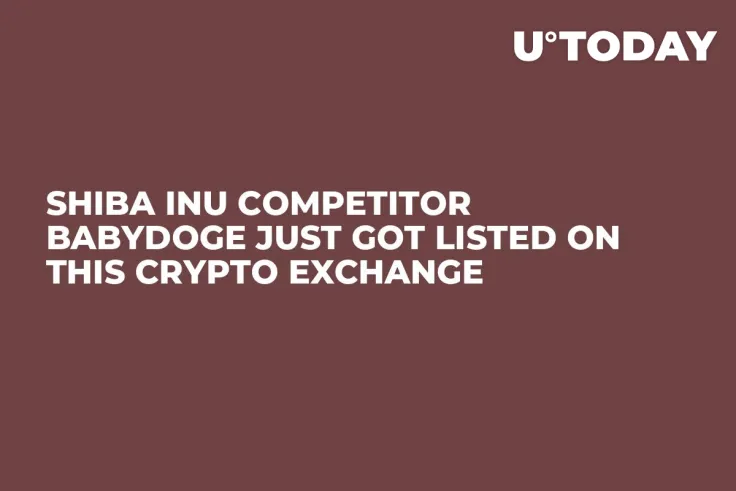 Shiba Inu Competitor BabyDoge Just Got Listed on This Crypto Exchange  