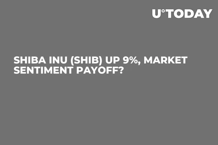 Shiba Inu (SHIB) up 9%, Market Sentiment Payoff?