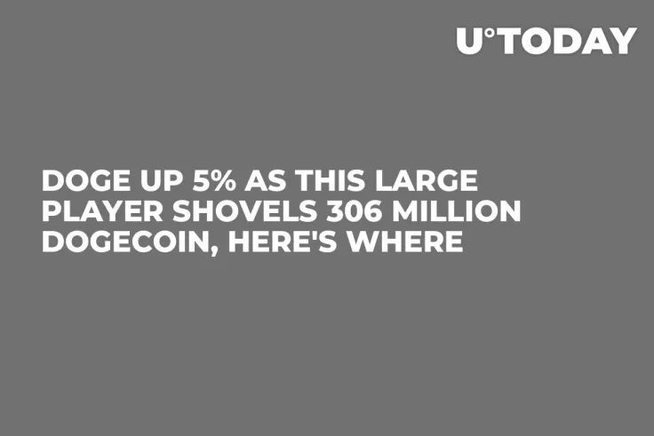 DOGE up 5% as This Large Player Shovels 306 Million Dogecoin, Here's Where