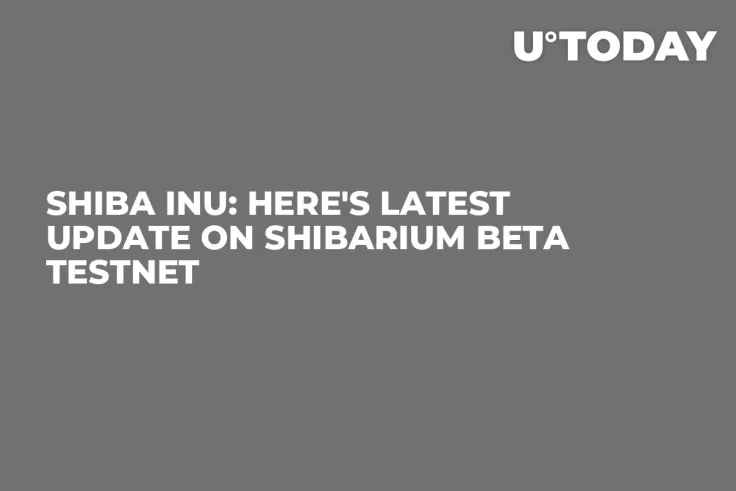 Shiba Inu: Here's Latest Update on Shibarium Beta Testnet