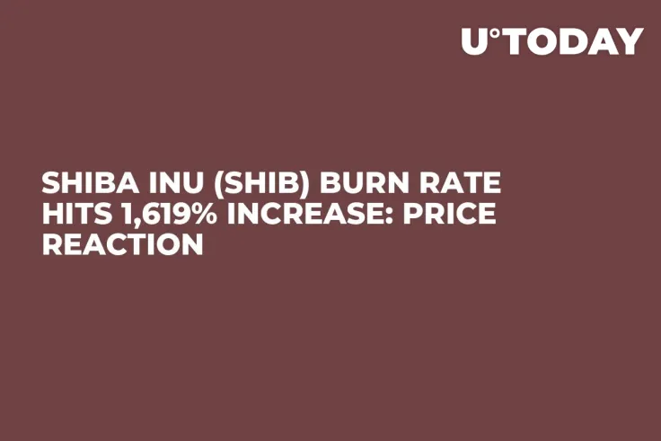 Shiba Inu (SHIB) Burn Rate Hits 1,619% Increase: Price Reaction