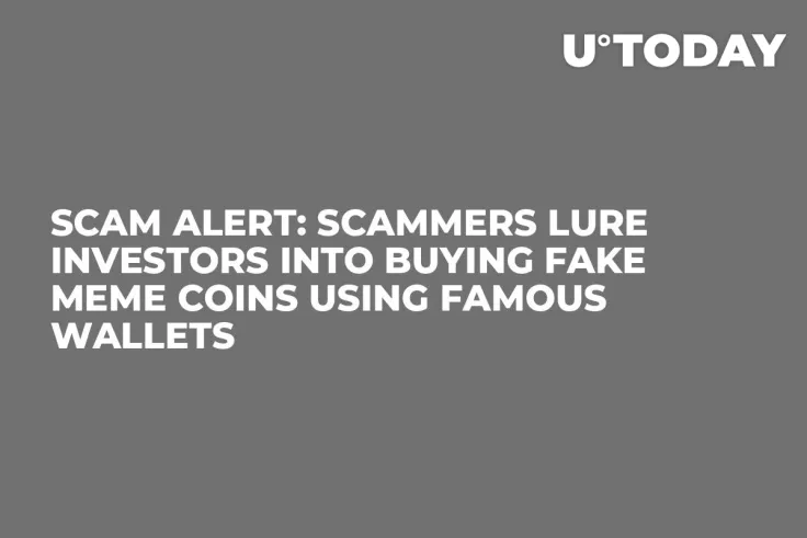 Scam Alert: Scammers Lure Investors into Buying Fake Meme Coins Using Famous Wallets