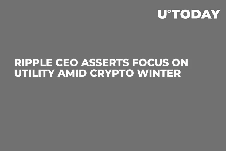Ripple CEO Asserts Focus on Utility Amid Crypto Winter