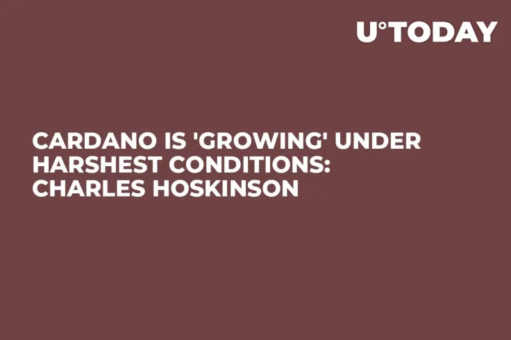 Cardano Is 'Growing' Under Harshest Conditions: Charles Hoskinson