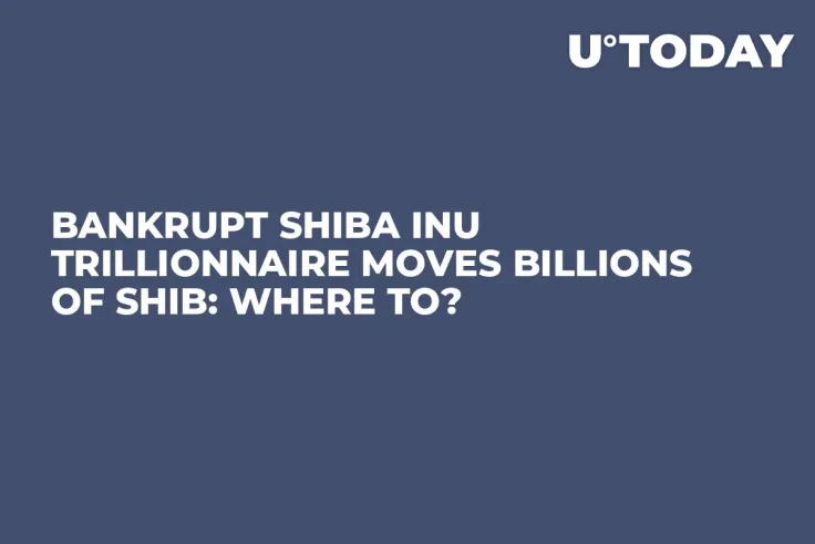 Bankrupt Shiba Inu Trillionnaire Moves Billions of SHIB: Where To?