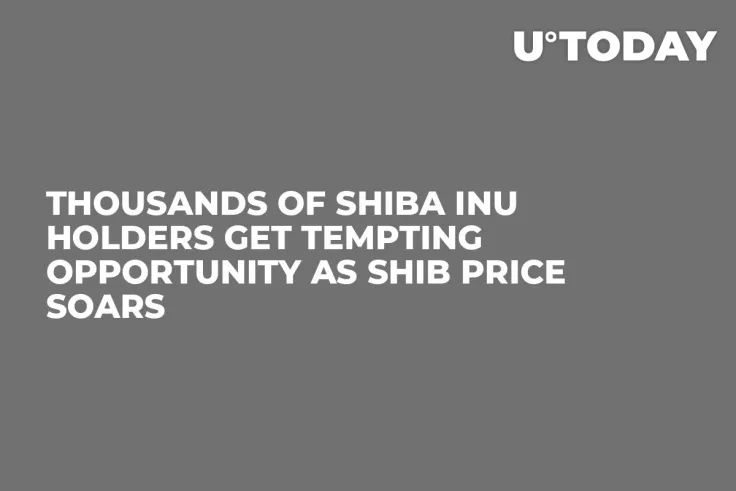 Thousands of Shiba Inu Holders Get Tempting Opportunity as SHIB Price Soars