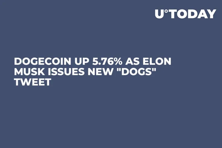 Dogecoin Up 5.76% as Elon Musk Issues New "Dogs" Tweet