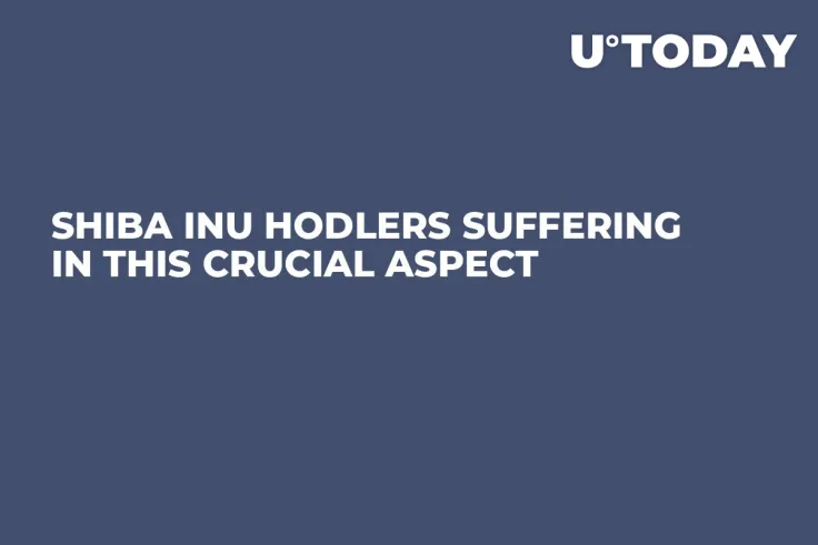 Shiba Inu HODLers Suffering in This Crucial Aspect