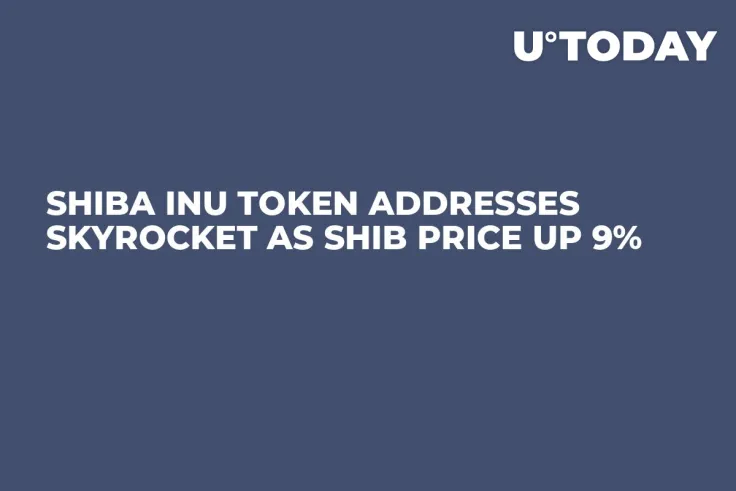 Shiba Inu Token Addresses Skyrocket as SHIB Price up 9%