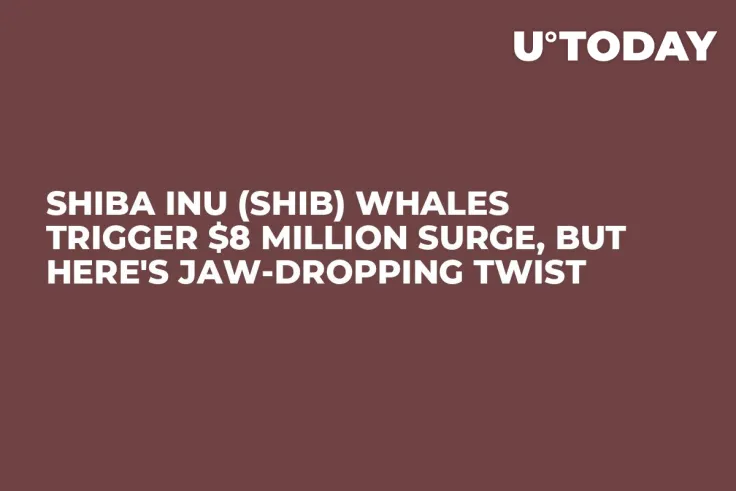Shiba Inu (SHIB) Whales Trigger $8 Million Surge, But Here's Jaw-Dropping Twist