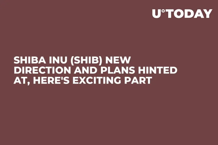 Shiba Inu (SHIB) New Direction and Plans Hinted at, Here's Exciting Part