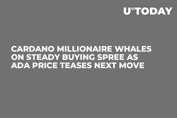 Cardano Millionaire Whales on Steady Buying Spree as ADA Price Teases Next Move