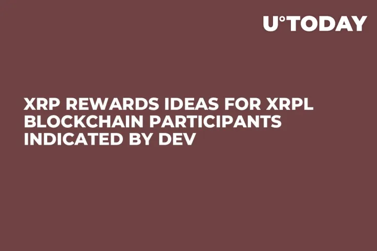XRP Rewards Ideas for XRPL Blockchain Participants Indicated by Dev