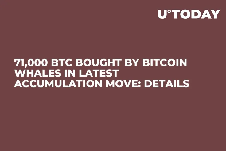 71,000 BTC Bought by Bitcoin Whales in Latest Accumulation Move: Details