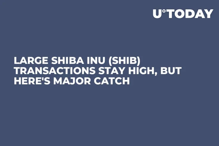 Large Shiba Inu (SHIB) Transactions Stay High, but Here's Major Catch