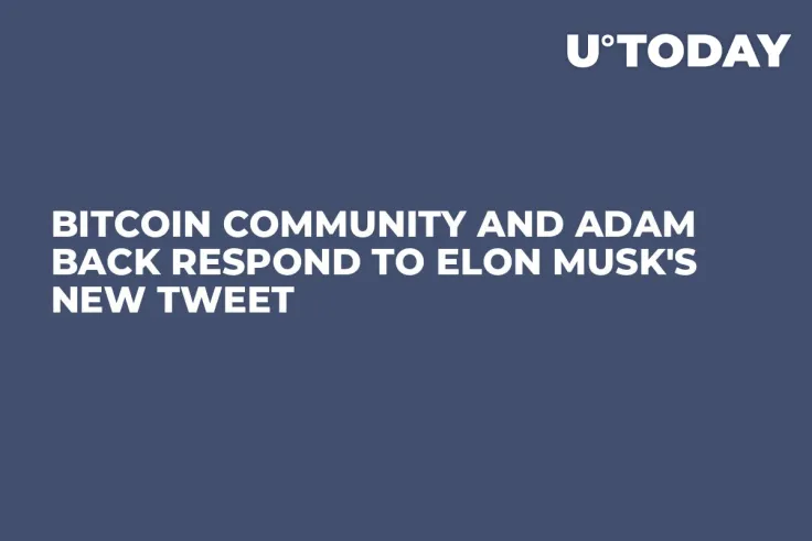 Bitcoin Community and Adam Back Respond to Elon Musk's New Tweet