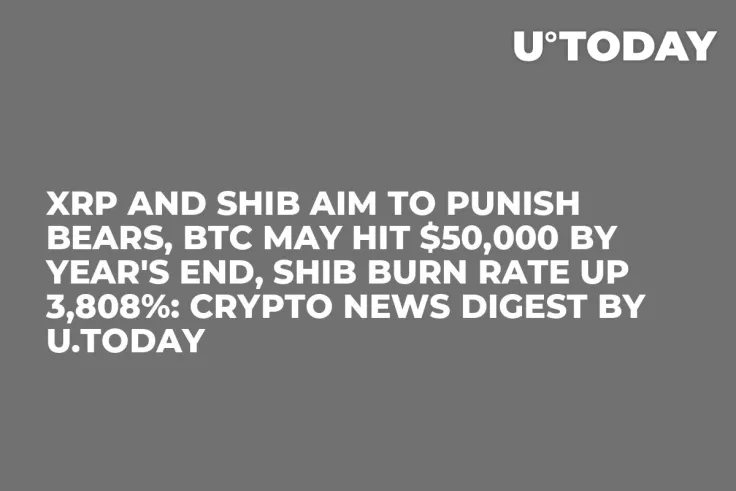 XRP and SHIB Aim to Punish Bears, BTC May Hit $50,000 By Year's End, SHIB Burn Rate up 3,808%: Crypto News Digest by U.Today