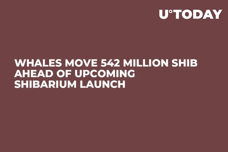 Whales Move 542 Million SHIB Ahead of Upcoming Shibarium Launch