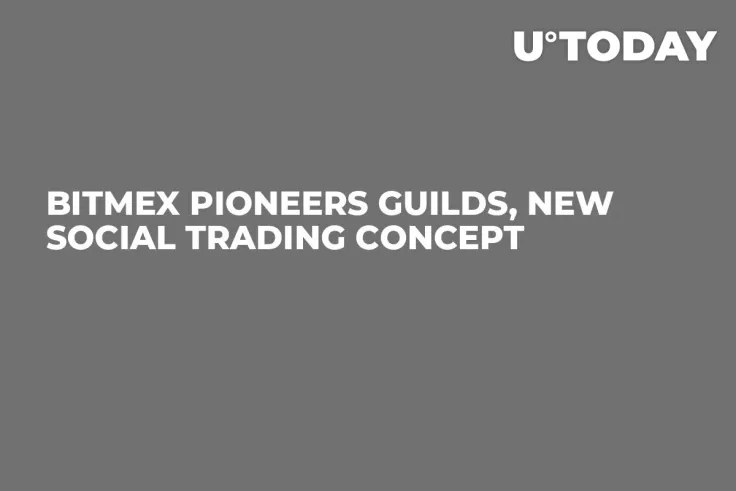 BitMEX Pioneers Guilds, New Social Trading Concept