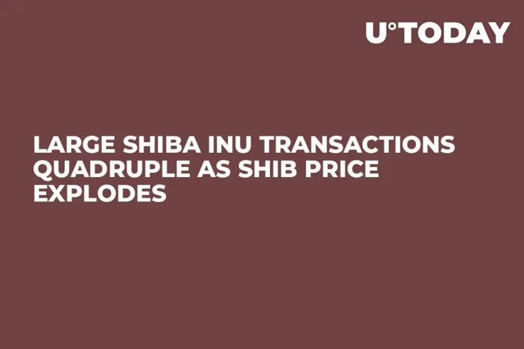 Large Shiba Inu Transactions Quadruple as SHIB Price Explodes