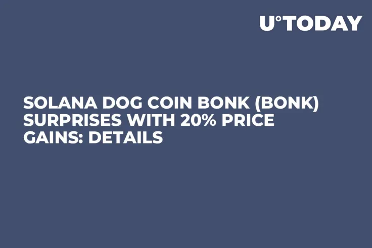 Solana Dog Coin Bonk (BONK) Surprises With 20% Price Gains: Details