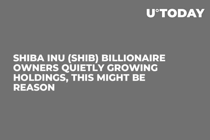 Shiba Inu (SHIB) Billionaire Owners Quietly Growing Holdings, This Might Be Reason