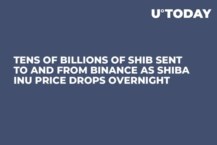 Tens of Billions of SHIB Sent to and From Binance as Shiba Inu Price Drops Overnight