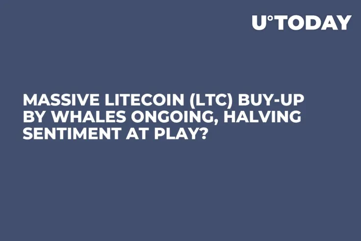 Massive Litecoin (LTC) Buy-up by Whales Ongoing, Halving Sentiment at Play?