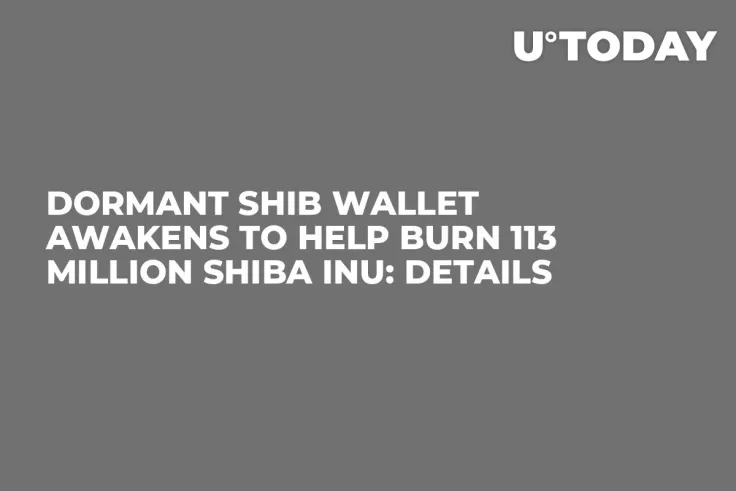 Dormant SHIB Wallet Awakens to Help Burn 113 Million Shiba Inu: Details